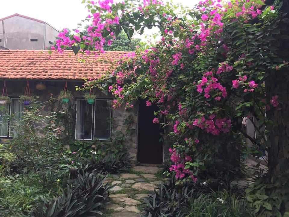 Mr. Viet home stay - 16