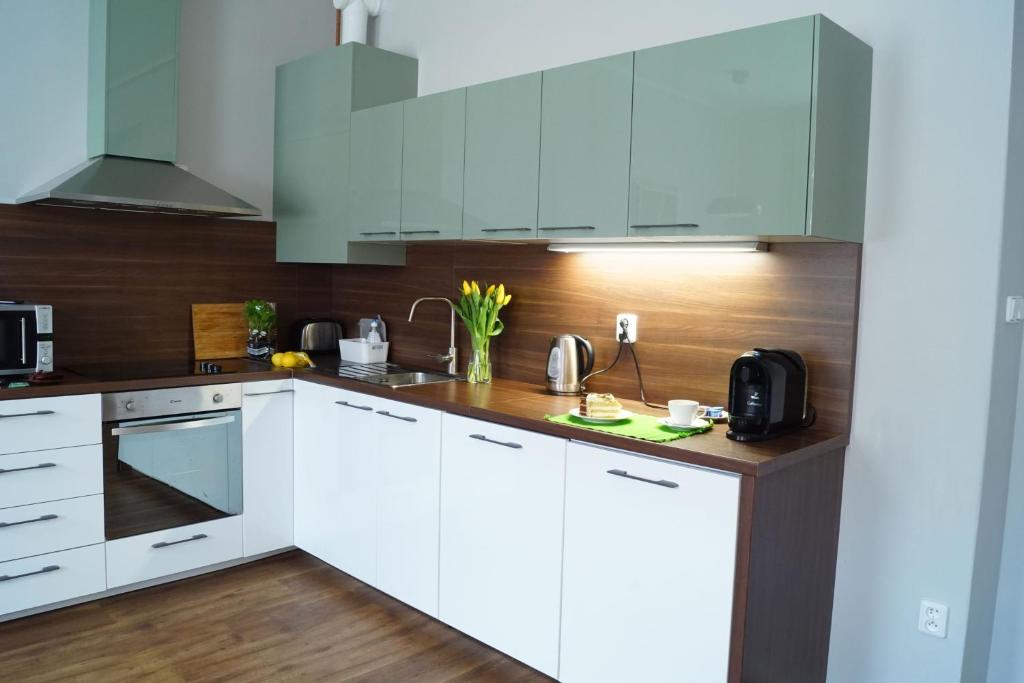 Kuchyň nebo kuchyňský kout v ubytování Apartmány Mary