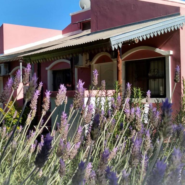 Bungalows Los Talas de San José