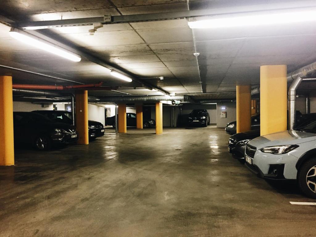 Spacious 2-Bedroom Apartment Free Private Parking in Vilnius - アパート