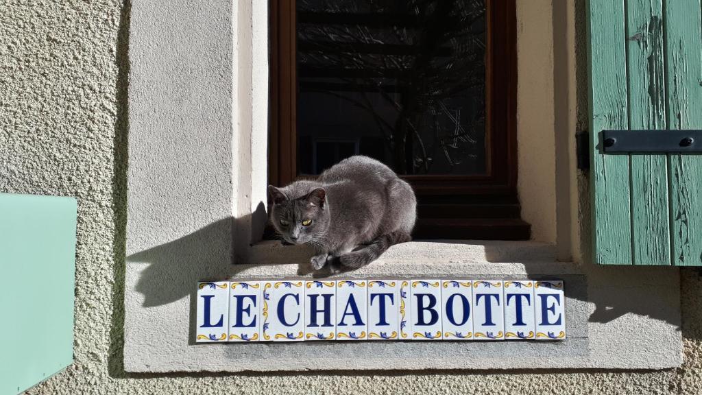 un gato gris sentado en la cornisa de una ventana en Le Chat Botté - Vankantiehuis in Languedoc-Roussillion, en Routier