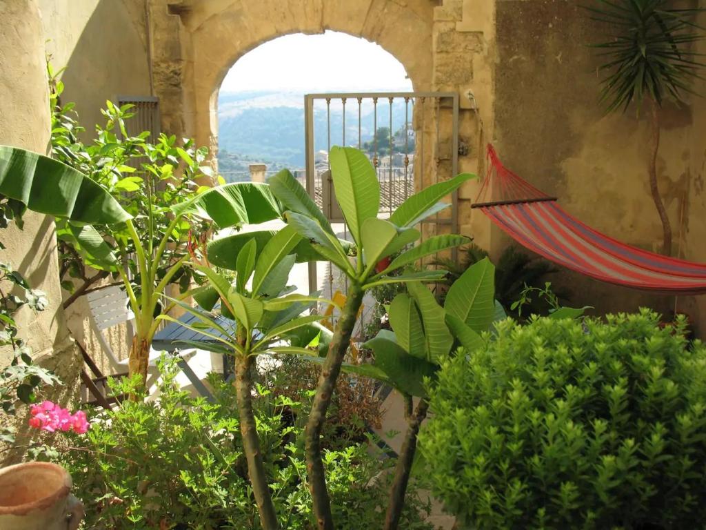a garden with plants and a hammock in a building at A' naca in Ragusa