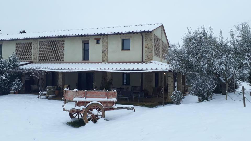 Bosco Ai Marzi during the winter