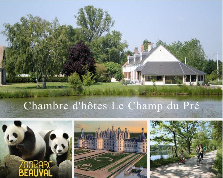 een collage van foto's van een huis en een panda bij Le Champ du Pré in Gièvres