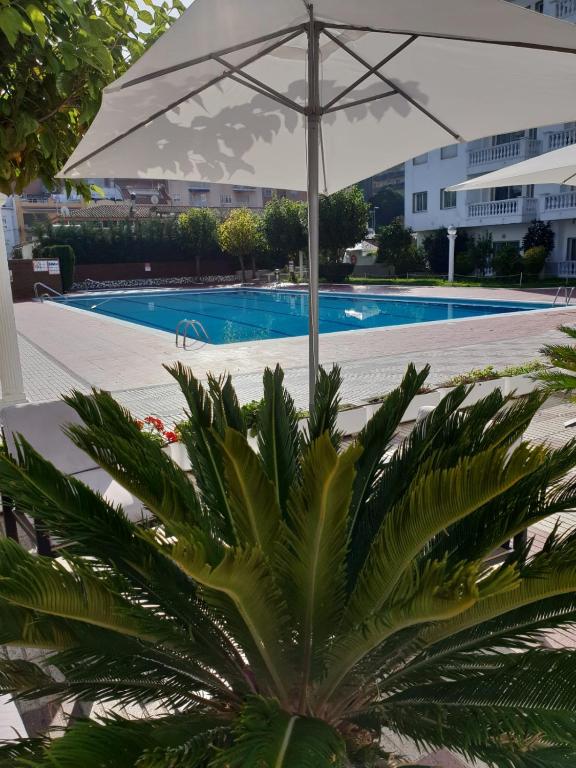Bazén v ubytování Europa Family Apartments nebo v jeho okolí