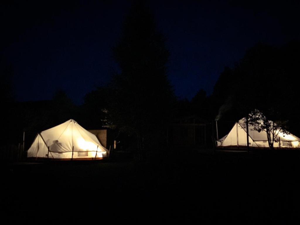 Fotografie z fotogalerie ubytování Silver Trees - Glamping v destinaci Fresse-sur-Moselle