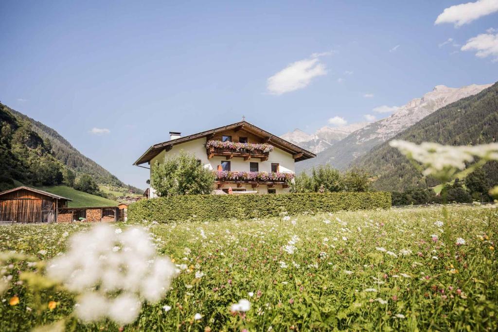 dom na wzgórzu z polem kwiatów w obiekcie Schlatterhof w Neustift im Stubaital