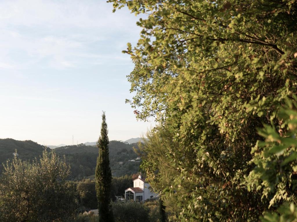 a view of a house through the trees at B&B La Fustaia in Sarzana