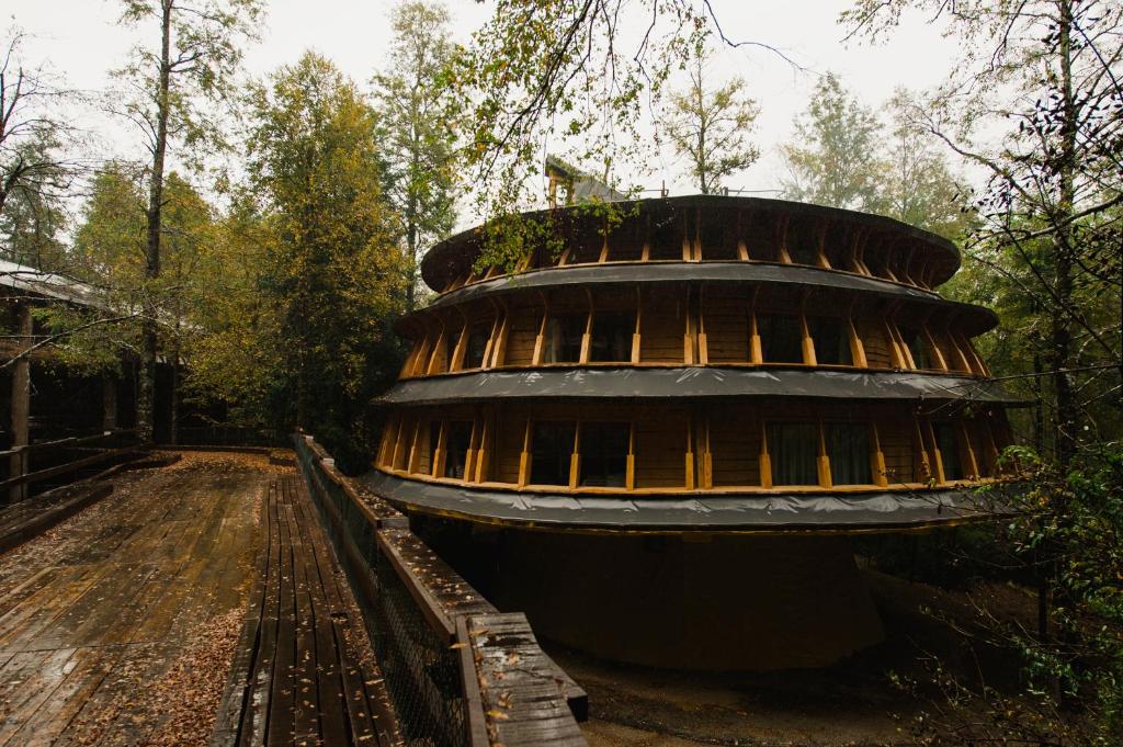 Foto dalla galleria di Huilo Huilo Reino Fungi a Huilo Huilo