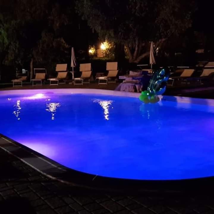 Bazén v ubytování Agriturismo Zio Zac nebo v jeho okolí