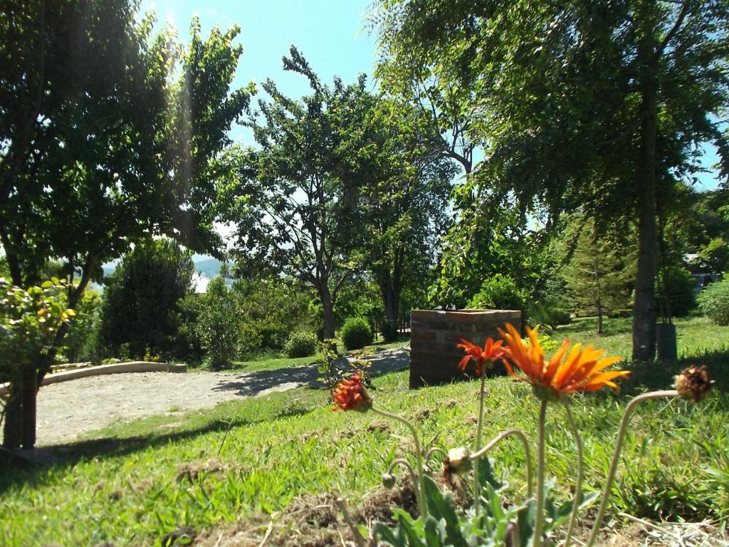 Zahrada ubytování Refugio Ruka Cümelen