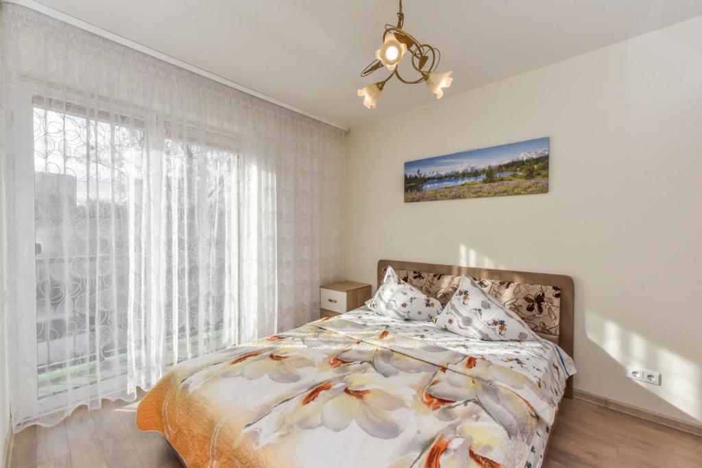 1 dormitorio con cama y ventana grande en Tatjanos apartamentai, en Palanga
