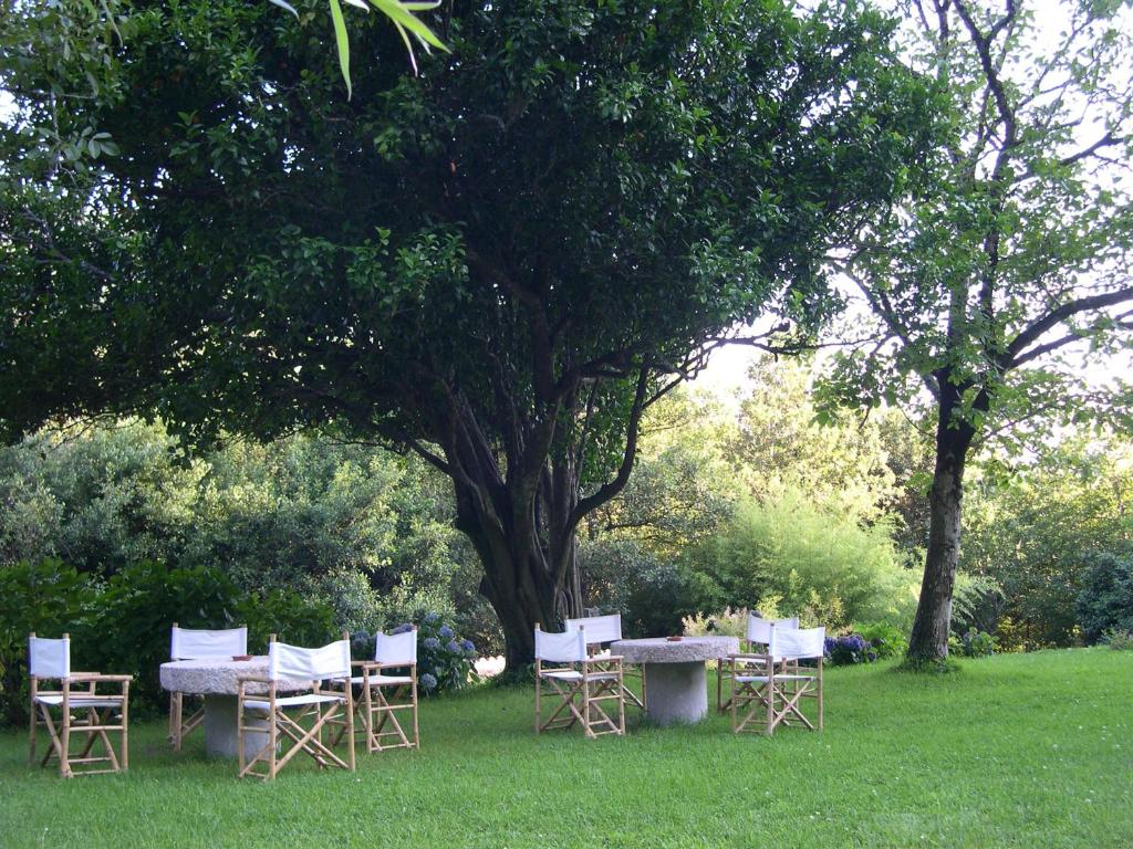 un grupo de sillas y una mesa bajo un árbol en Budiño de Serraseca, en Oia