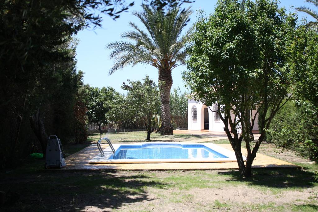 una piscina en un patio con una palmera en Villa Ana en Zahora