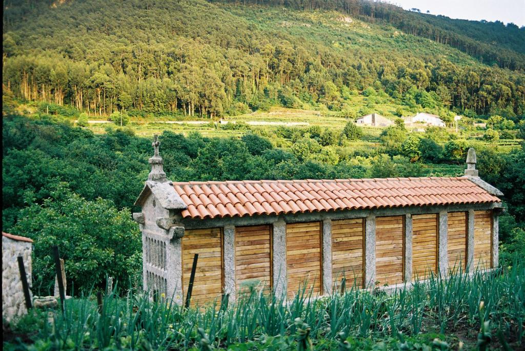 Príroda v okolí of the country house