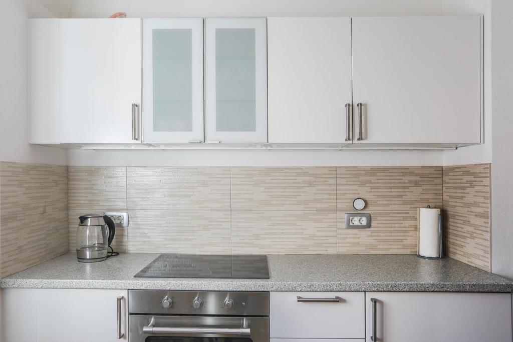 Kuchyň nebo kuchyňský kout v ubytování Apartmaji Tina