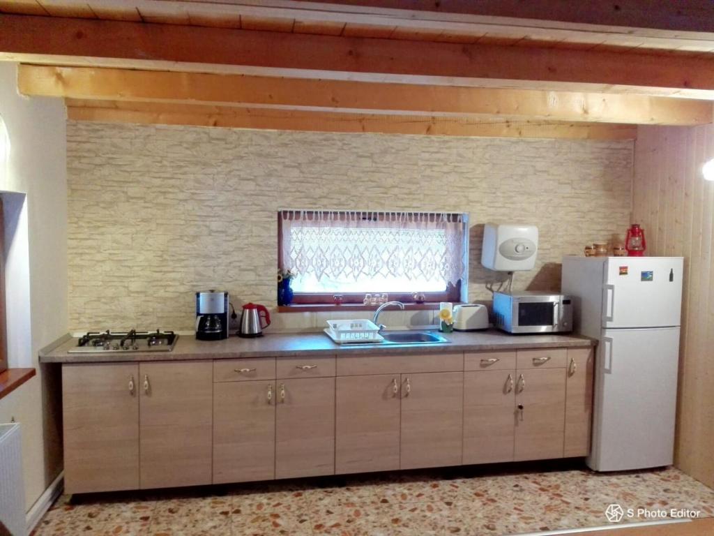 a kitchen with a sink and a white refrigerator at The Wooden House in Moldoveneşti