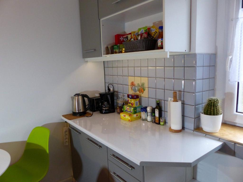 Kuchyňa alebo kuchynka v ubytovaní Apartament Kraszewskiego