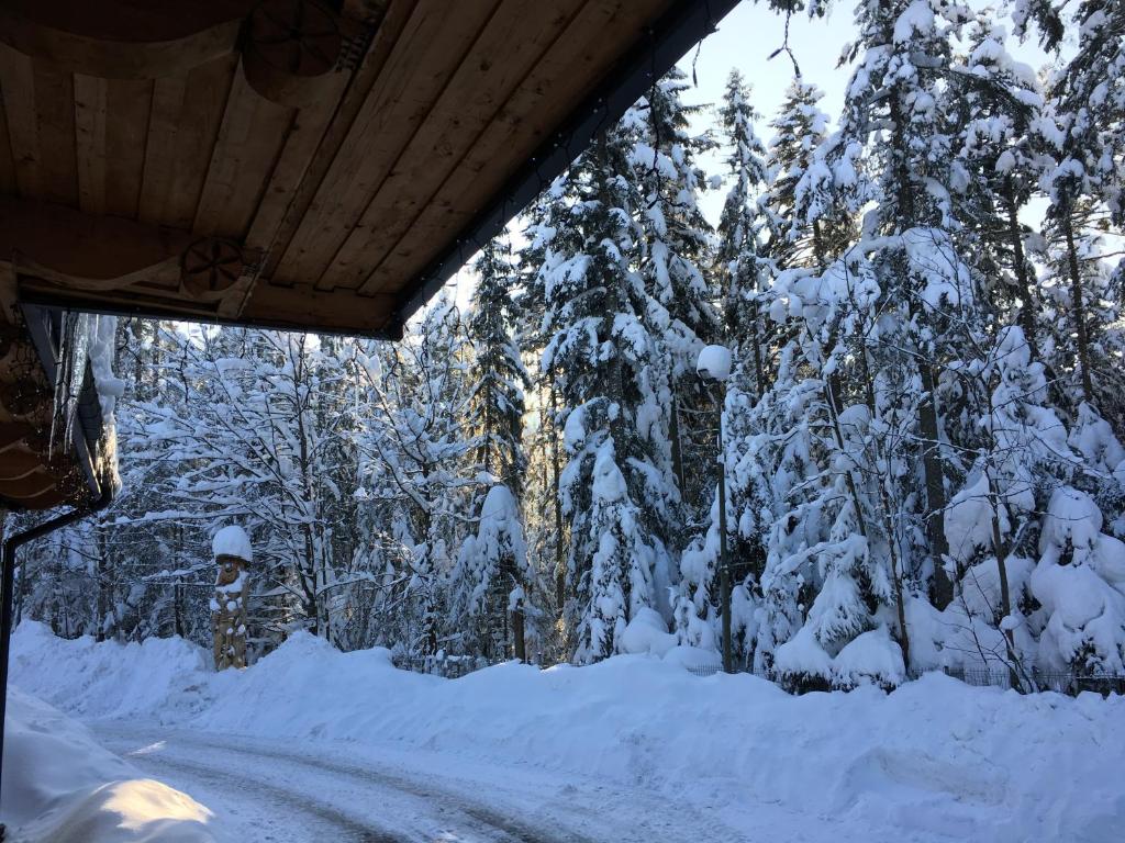 Hotel Dwór Karolówka - Resim 21