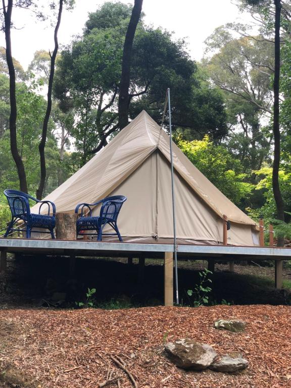 Příroda nedaleko luxury tent