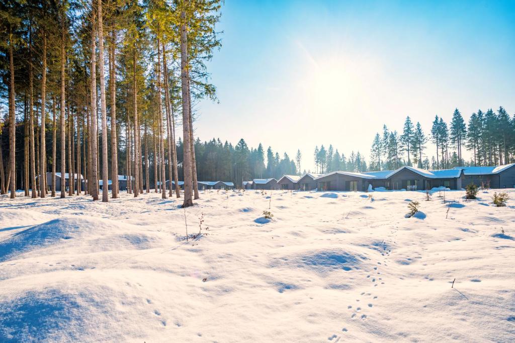 Center Parcs Park Allgäu v zimě