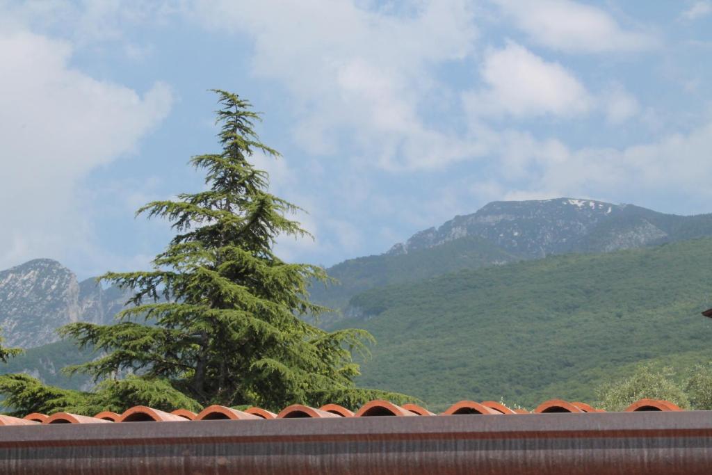 Nespecifikovaný výhled na hory nebo výhled na hory při pohledu z bed and breakfast
