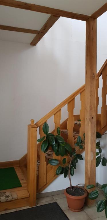 Fotografia z galérie ubytovania Apartamenty Drewniany Dom v destinácii Wojciechy