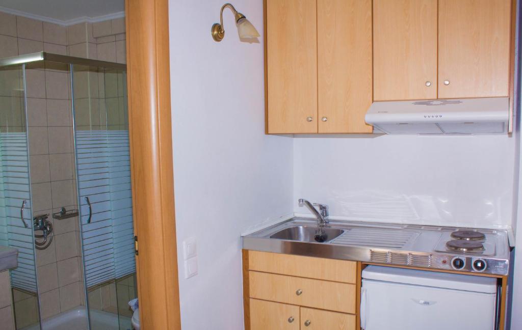 Kuchyň nebo kuchyňský kout v ubytování Sunshine Studios & Apartments