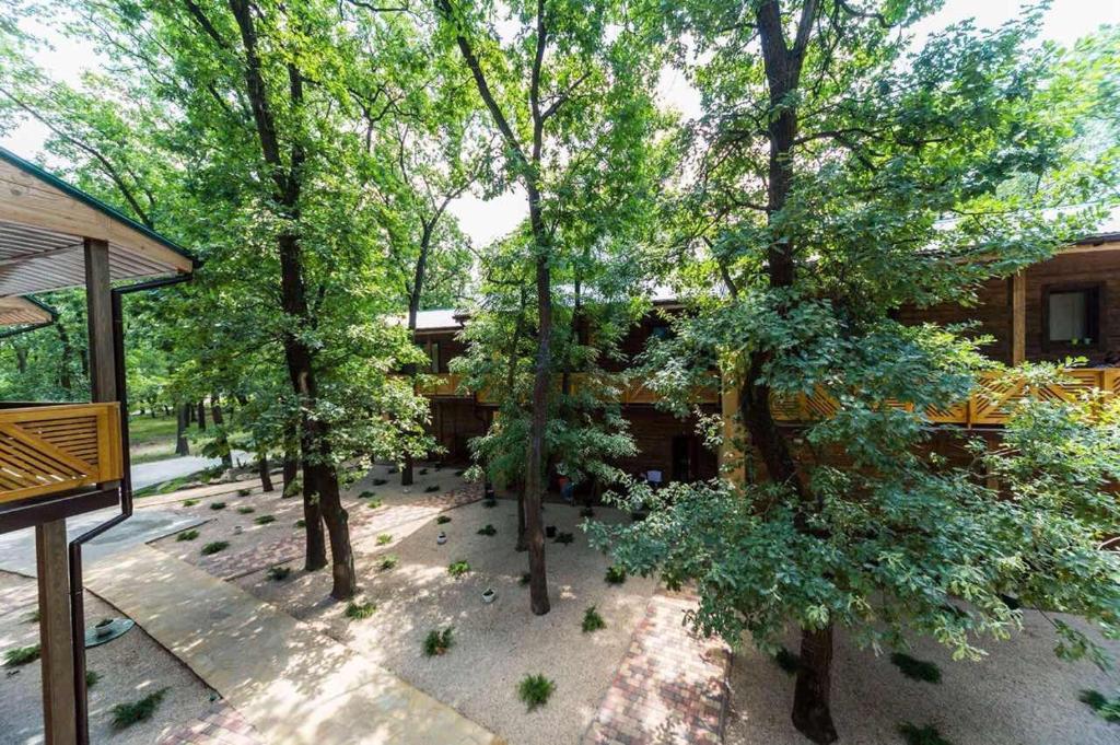 an overhead view of a park with trees and a building at База отдыха Дубки in Orlovshchina