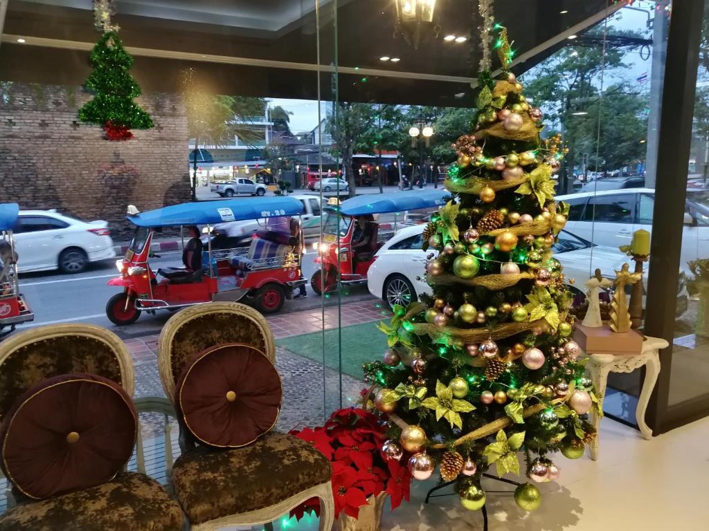 Marigold Lanna - Resim 7