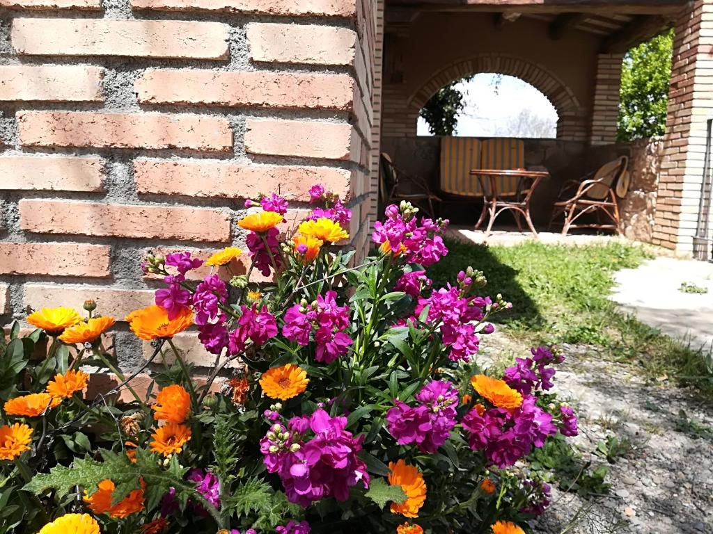 Vonkajšia záhrada v ubytovaní Country House El Permanyer