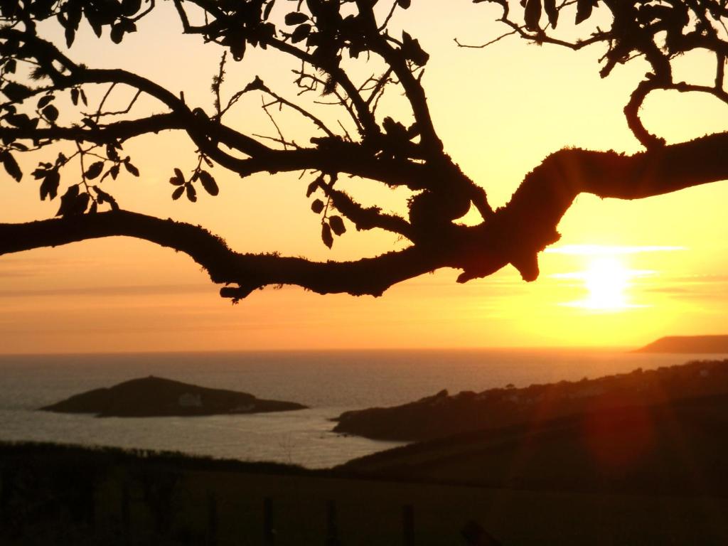 eine Silhouette eines Baumes mit Sonnenuntergang im Hintergrund in der Unterkunft Sunset Lodge in Kingsbridge