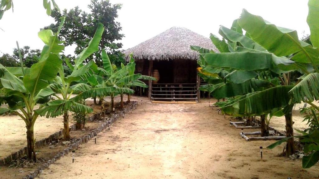  Pousada Ecológica: Portas da Amazônia Lençóis