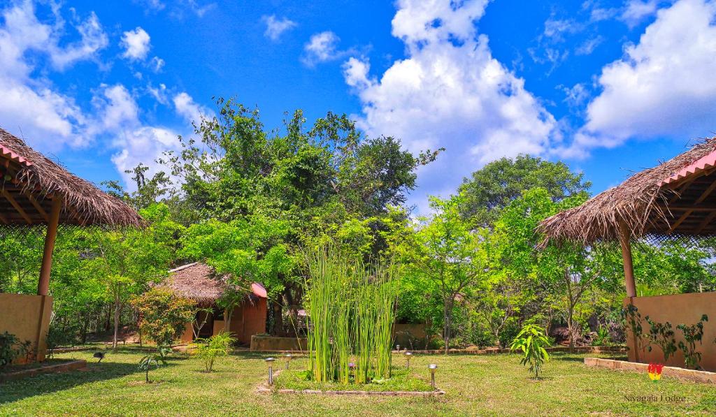 Zahrada ubytování Hôtel Niyagala Lodge Sigiriya