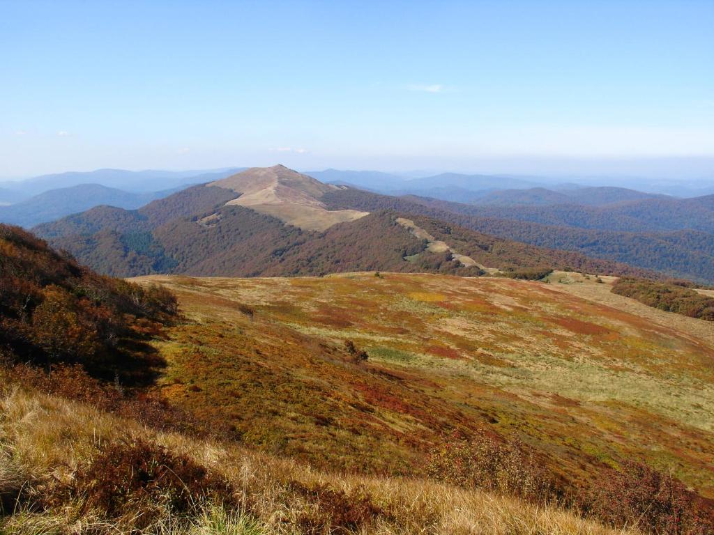 Príroda v okolí chaty v prírode