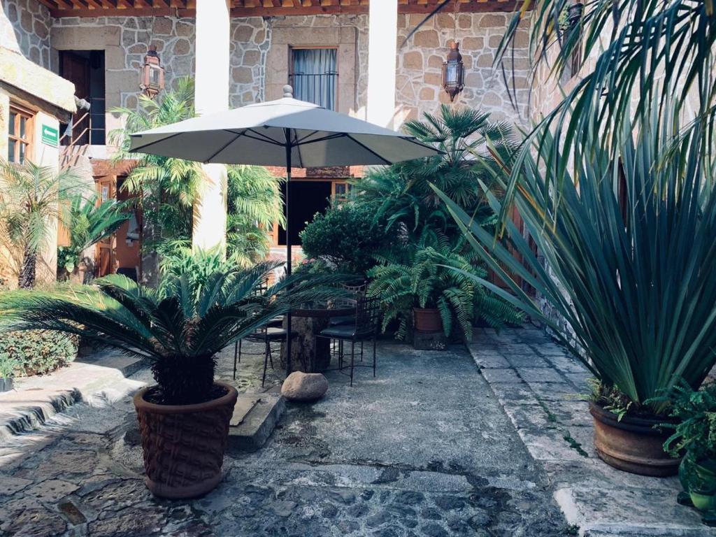 Zahrada ubytování Hotel Casa del Anticuario