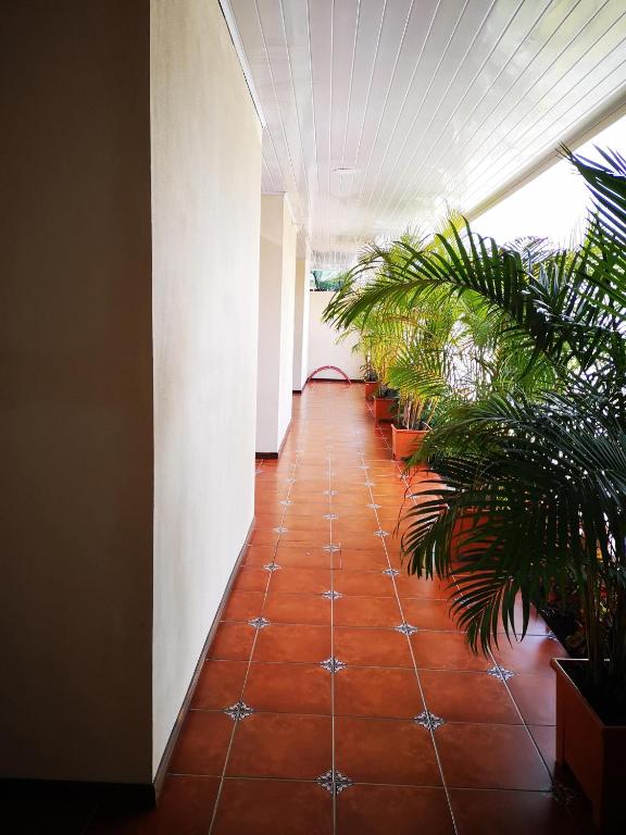 Fotografie z fotogalerie ubytování Hotel Amaranto v destinaci San Ramón
