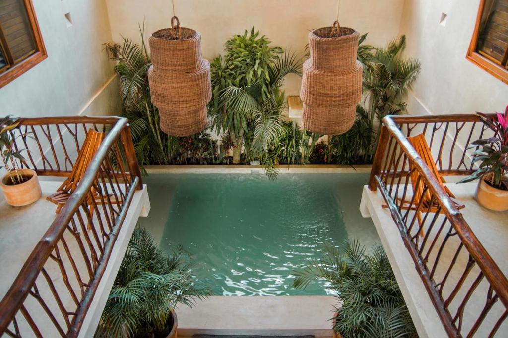 a swimming pool in a room with plants at ALCOBAS DEL MAR in Holbox Island