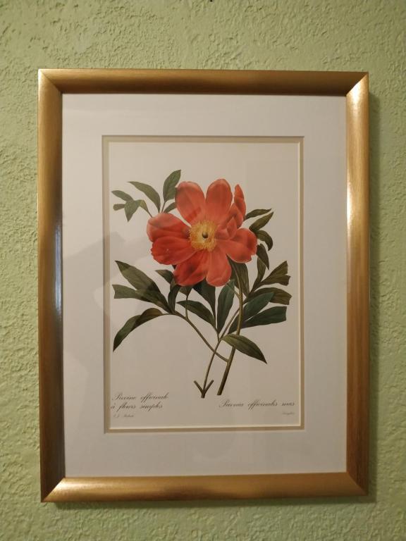 AU brochet – photo 32