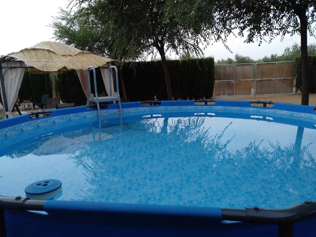 una gran piscina azul en un patio en La Casa del Abuelo Jose en Marmolejo