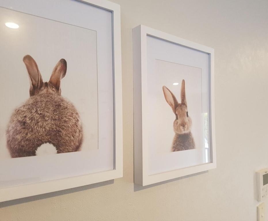 ASURE Destiny on Fitzherbert Motel - Resim 33