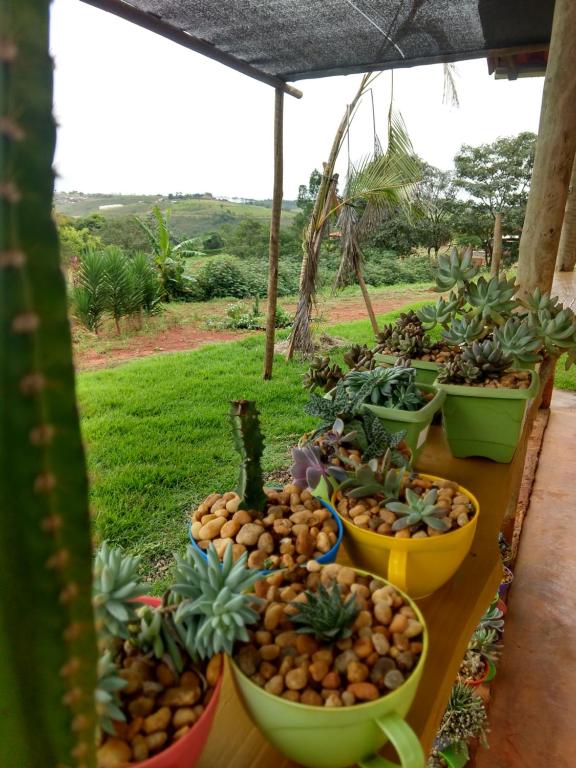 Aldeia Canastra Pousada - Chalet 03
