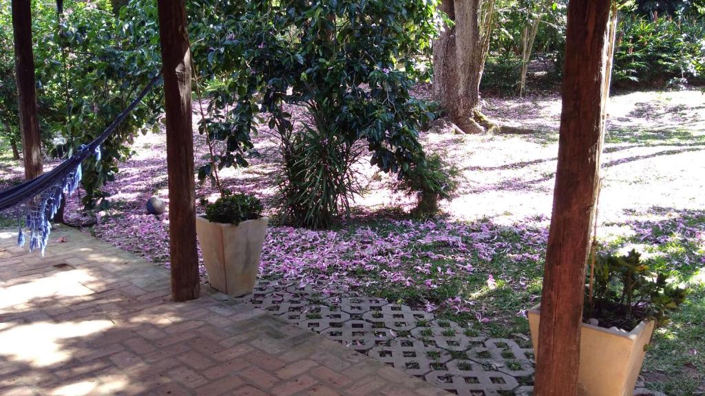 un jardín con flores púrpuras en el suelo en Chalés Del'Minas en Passa Quatro