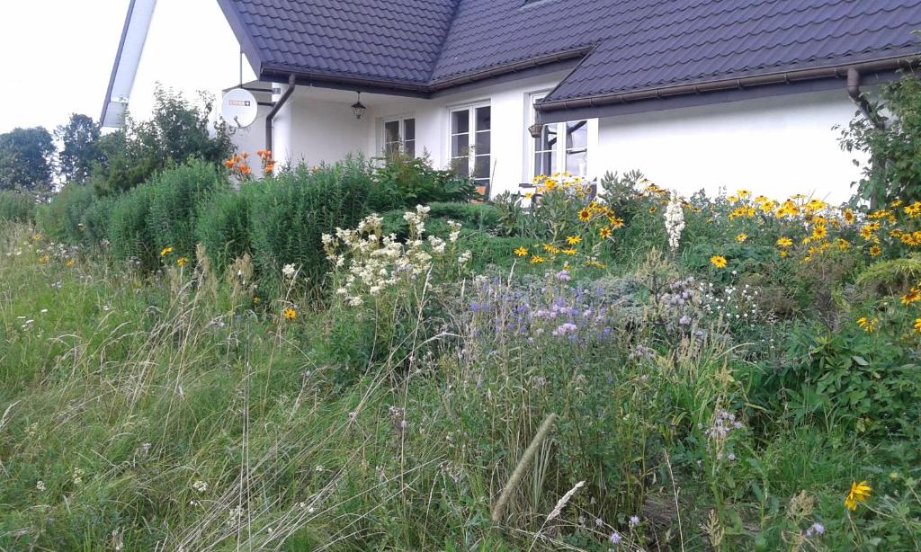 bizon - отзывы и видео