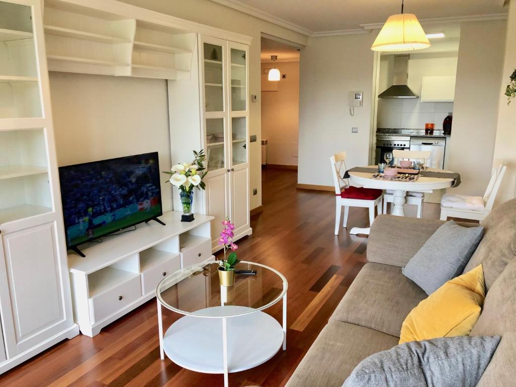 ein Wohnzimmer mit einem Sofa und einem TV in der Unterkunft Apartamento Europa Jardín in Oviedo