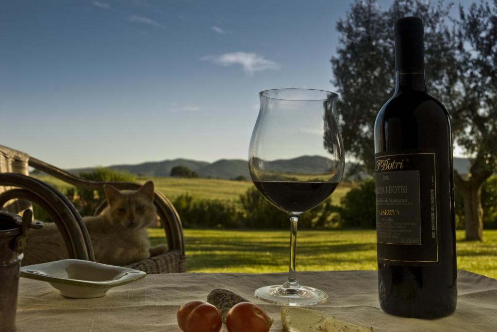 Nápoje v ubytovaní Bio Agriturismo Il Melograno di Banditella Ristorante
