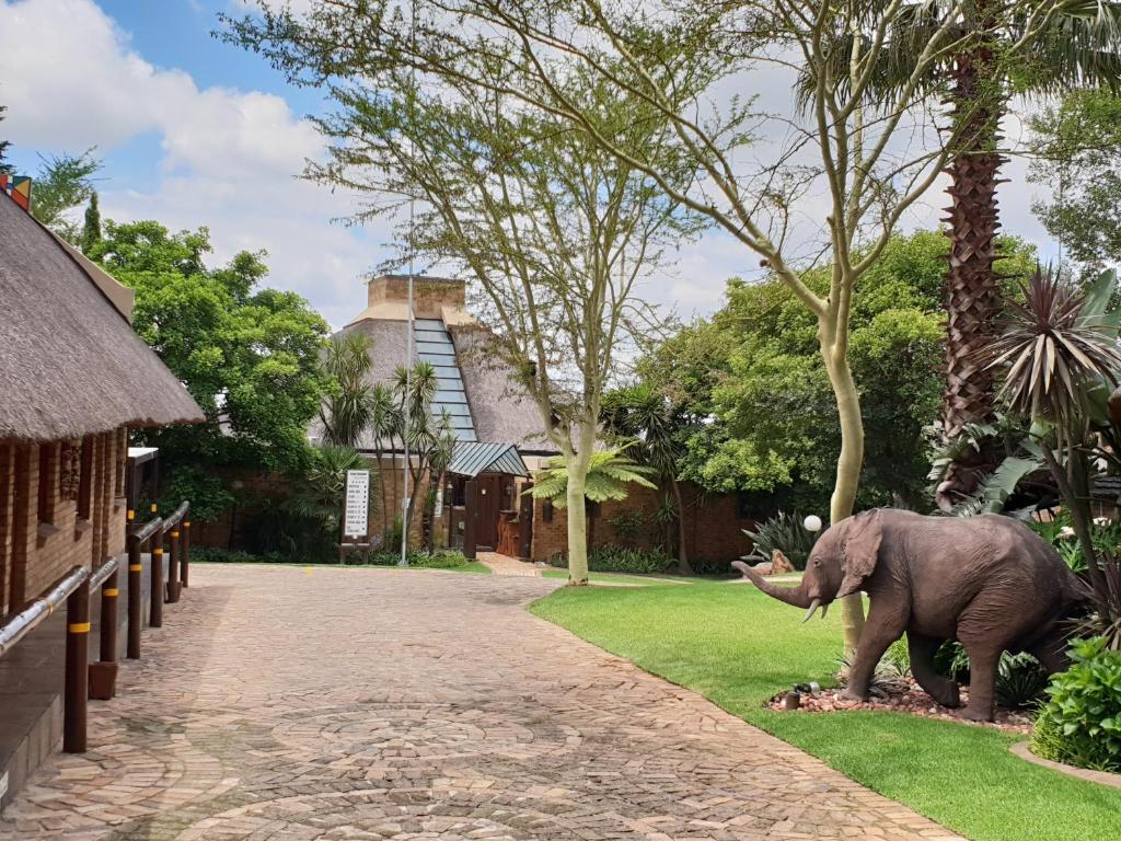 an elephant standing in the grass next to a building at Klein Bosveld Guest House in eMalahleni