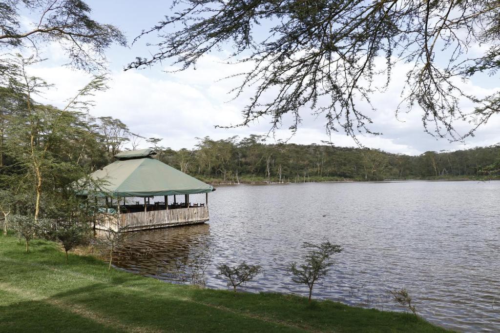 Příroda nedaleko luxury tent