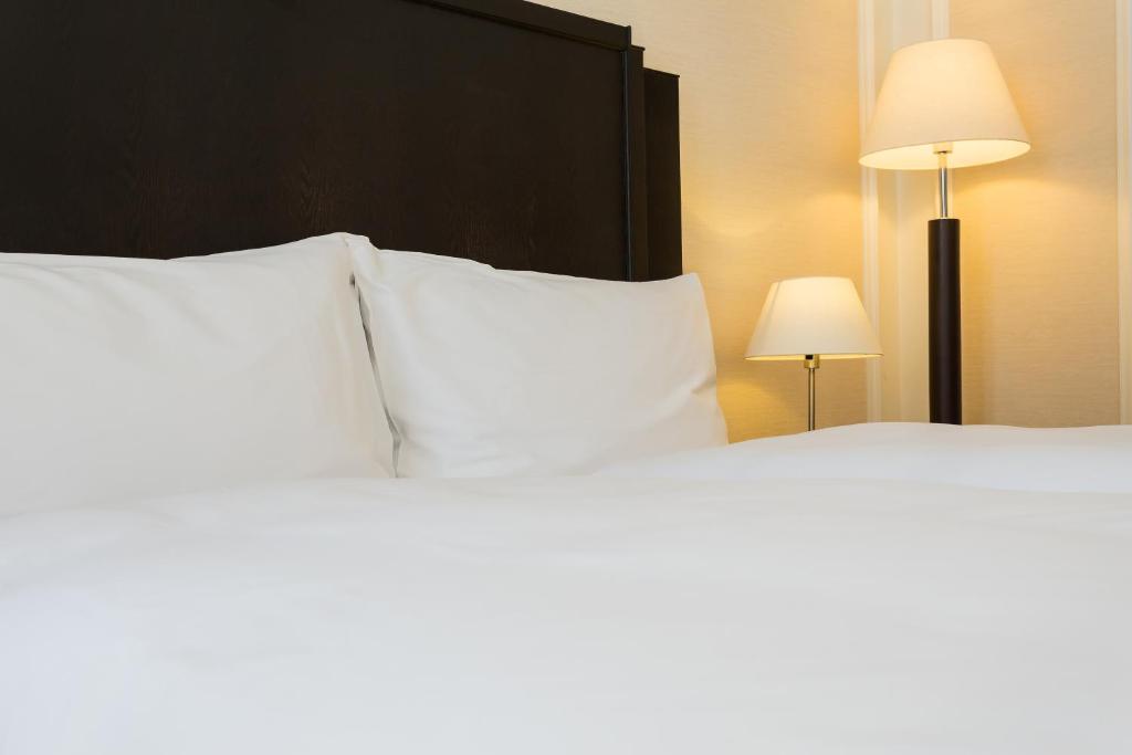 Hotel Euler Basel - Resim 45