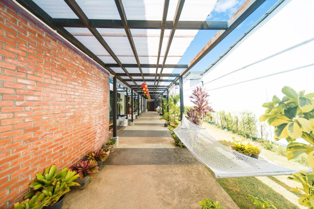 Zahrada ubytování ChillHub Hostel Phuket
